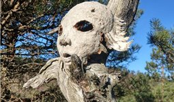 EAN Anna Zychowicz Esavna