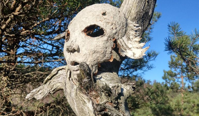 EAN Anna Zychowicz Esavna