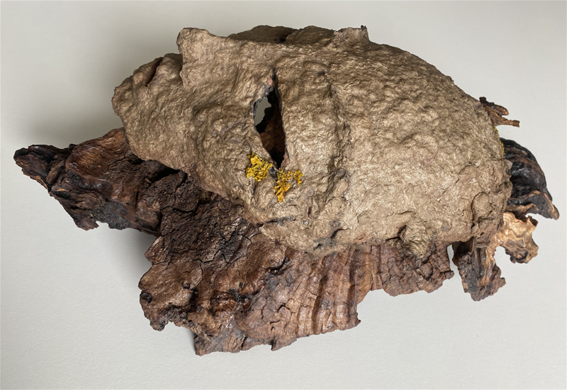 EAN Anna Zychowicz Esavna